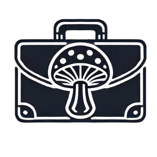 Work in Psychedelics — briefcase carrying a mushroom